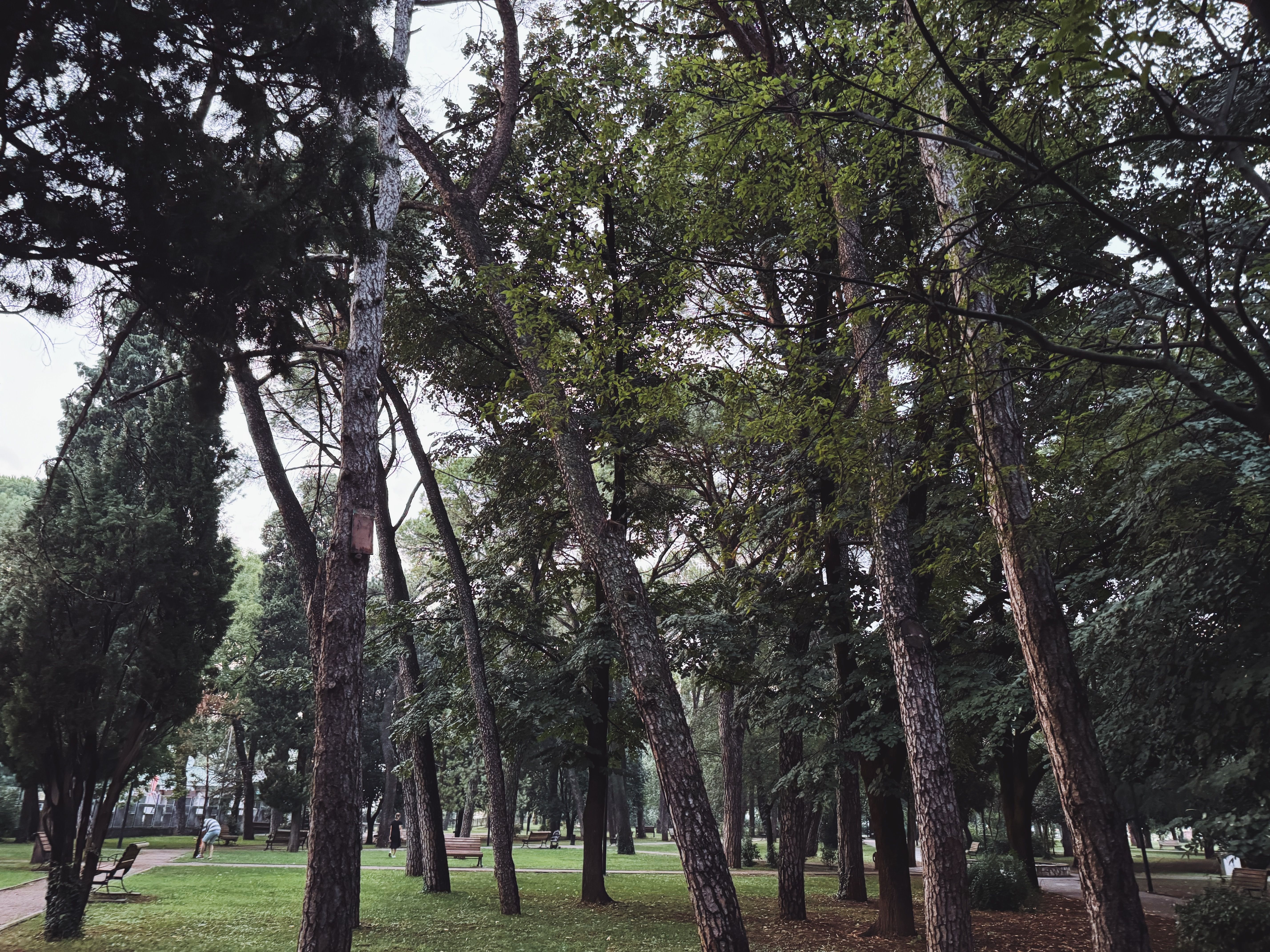 Benevento, l’invito di Civico22: ‘Riaprire la stagione dei concorsi, città da ripensare come grande parco urbano’