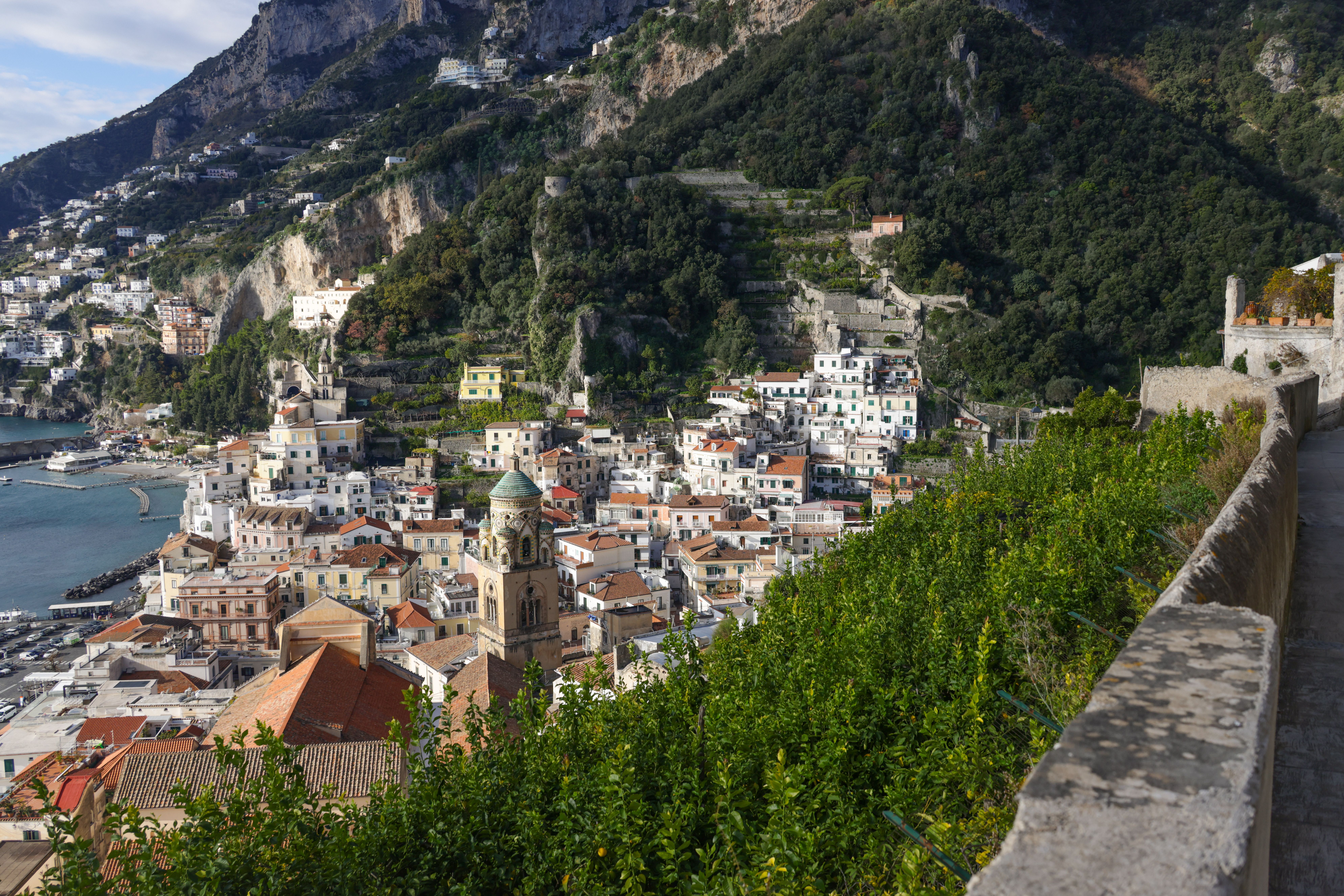 Approvato il nuovo bando da 600.000 euro per i Consorzi di Tutela DOP e IGP della Campania