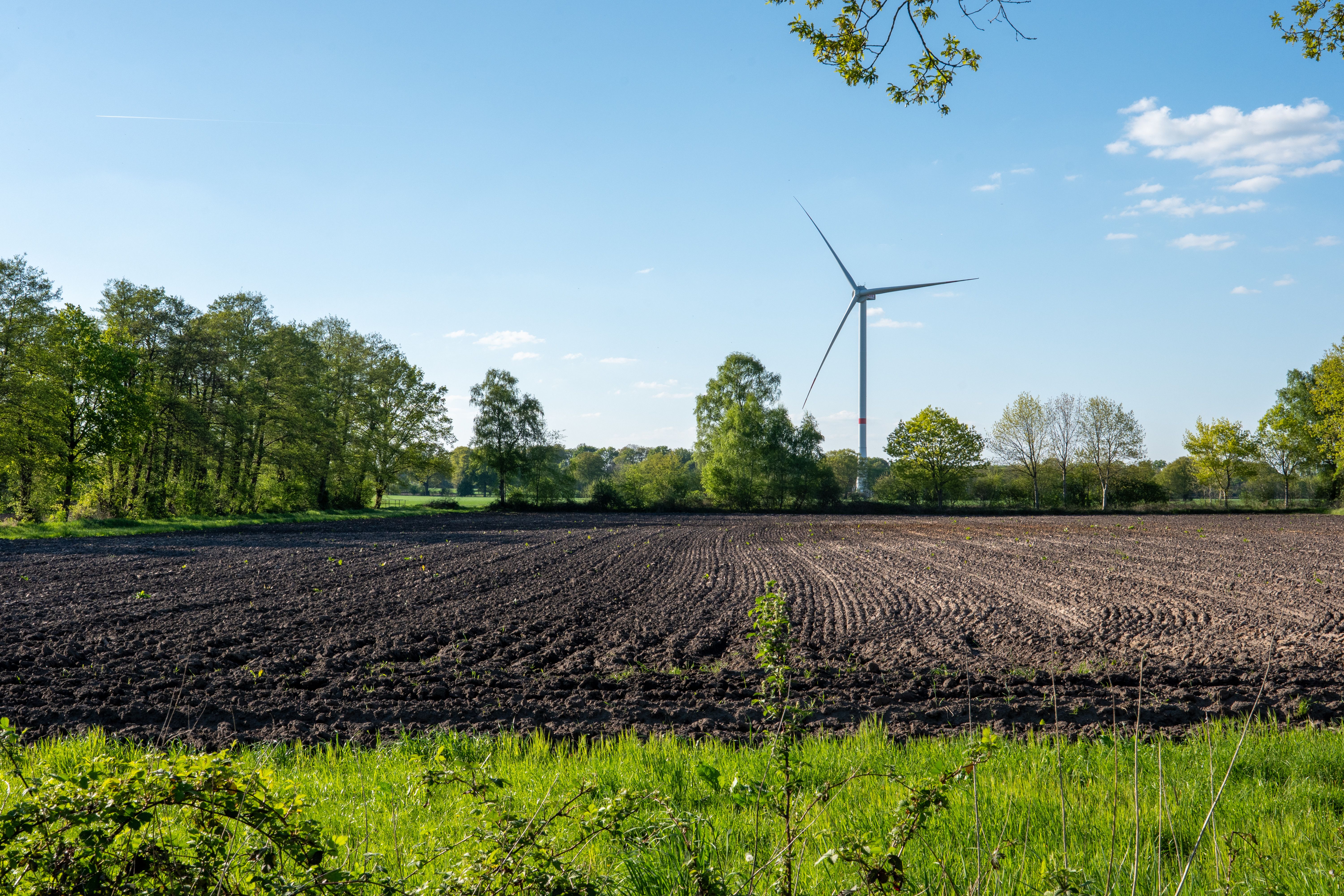 4° edizione di “GustaGuardia”: convegno “Viticoltura tra clima e mercato. Carbon Farming, redditività e futuro del vigneto sannita