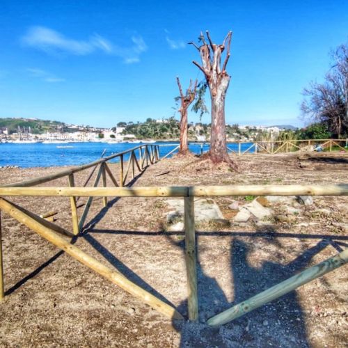 Villa-Romana-Bacoli-Ph-Soprintendenza-Archeologia-Belle-Arti-e-Paesaggio-per-lArea-Metropolitana-di-Napoli-2